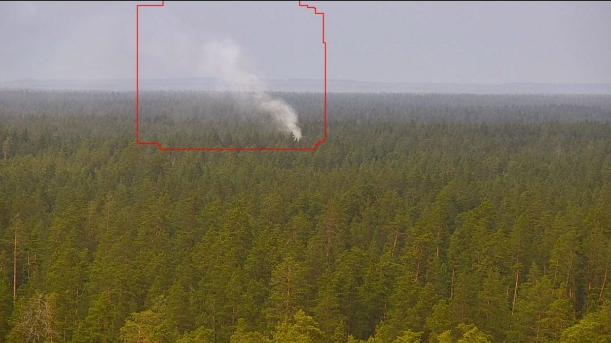 Первый пожар в Бузулукском бору