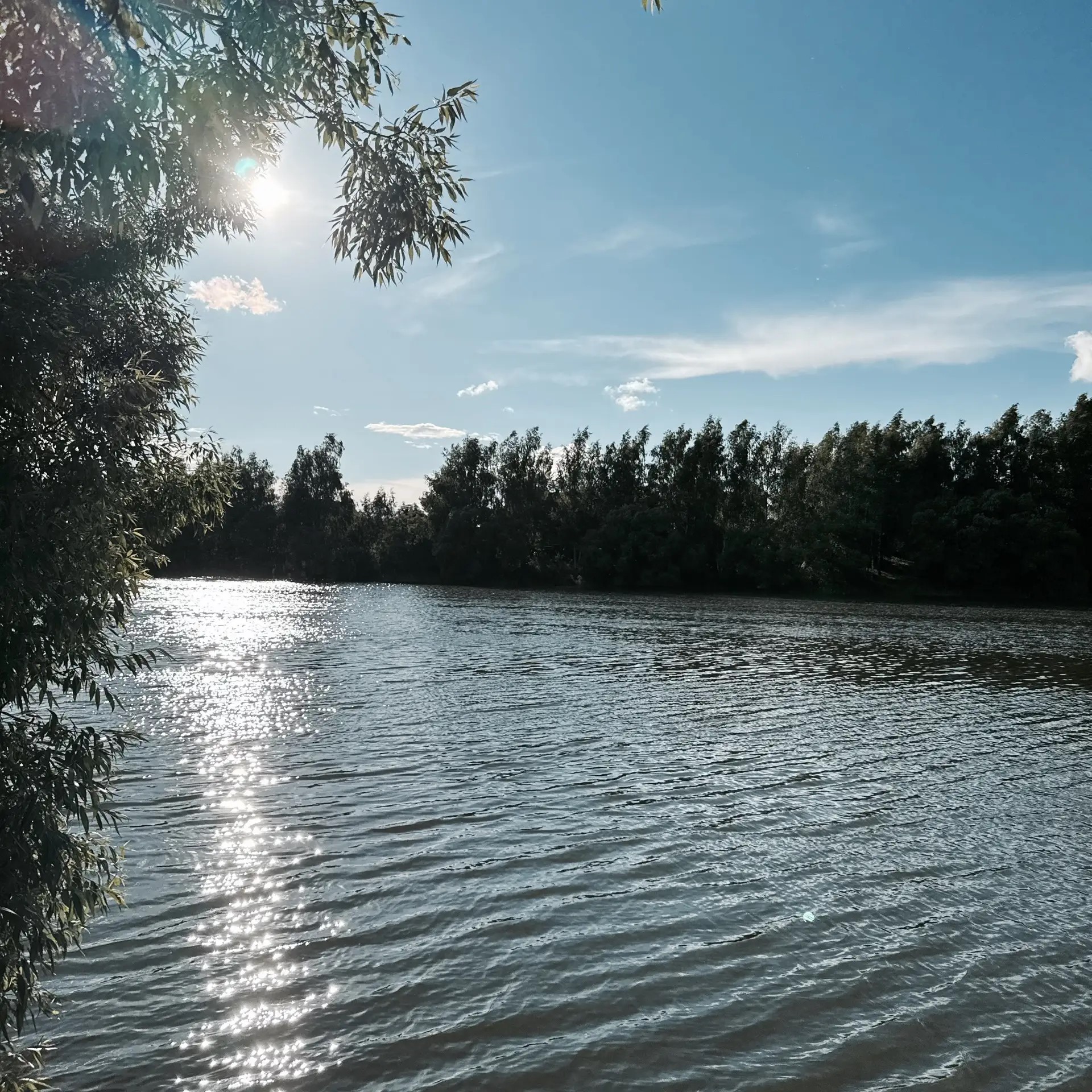 Трагедия на воде: в Пономарёвском районе утонула женщина