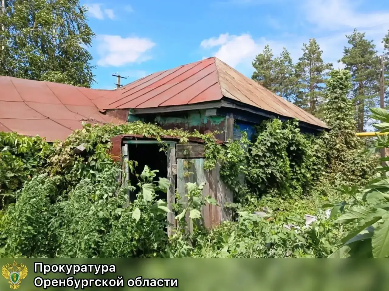 Кровавая расправа из-за круп: пенсионерка зарезала подругу ножницами в Тюльганском районе