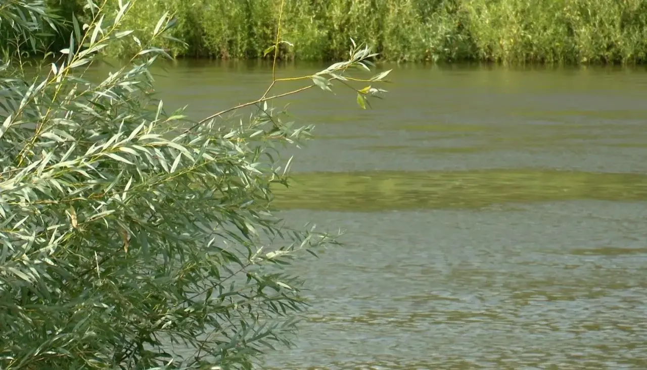 Четыре человека утонули в водоемах Оренбуржья за сутки