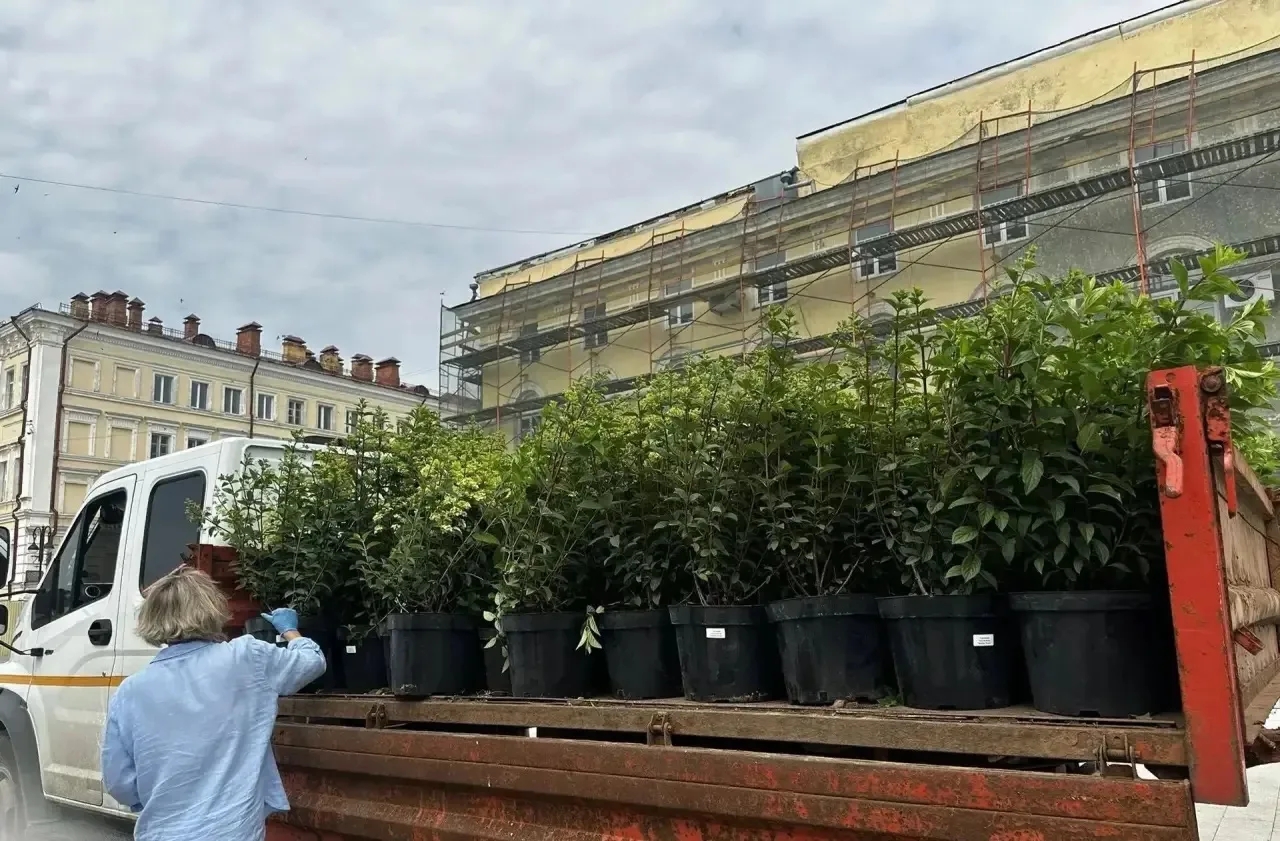 На Елизаветинском спуске в Оренбурге началось озеленение — высадят 1590 кустарников