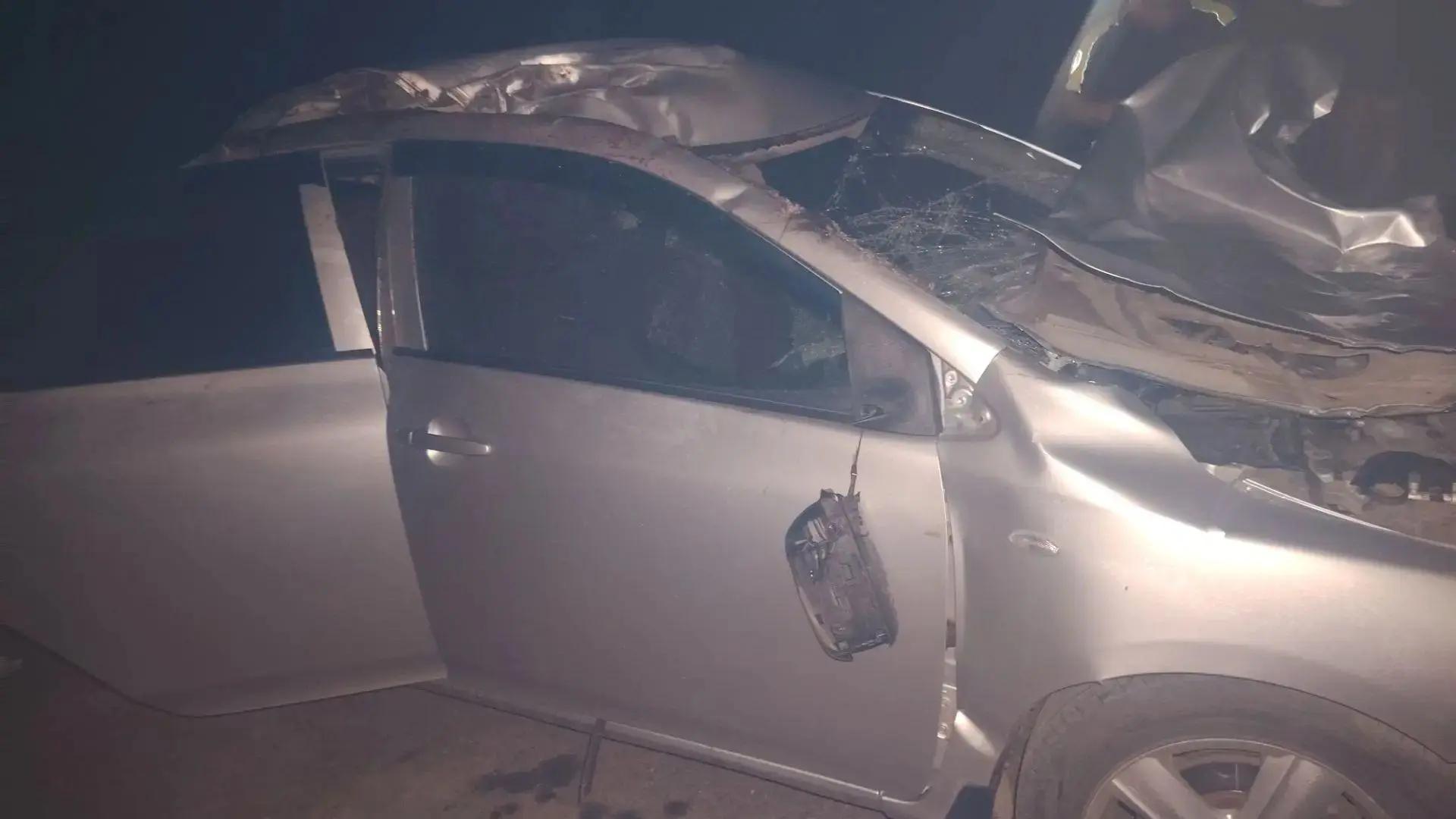 Женщина за рулём пострадала при наезде на лошадь в Первомайском районе