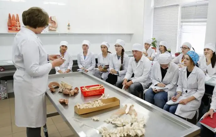 В российских колледжах рекордный наплыв: названы самые популярные специальности
