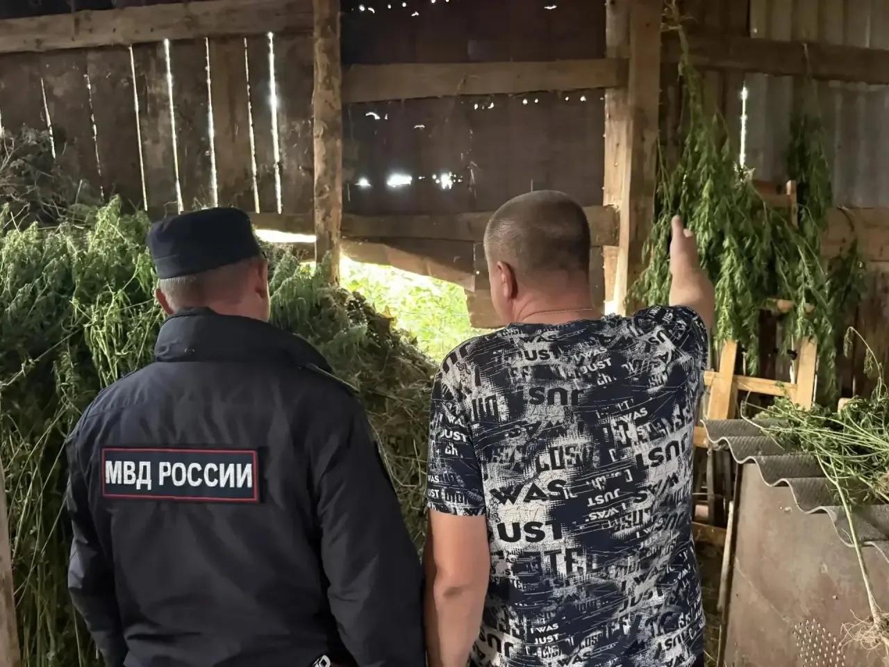 В Переволоцком районе полицейские изъяли у местного жителя более 10 килограммов конопли