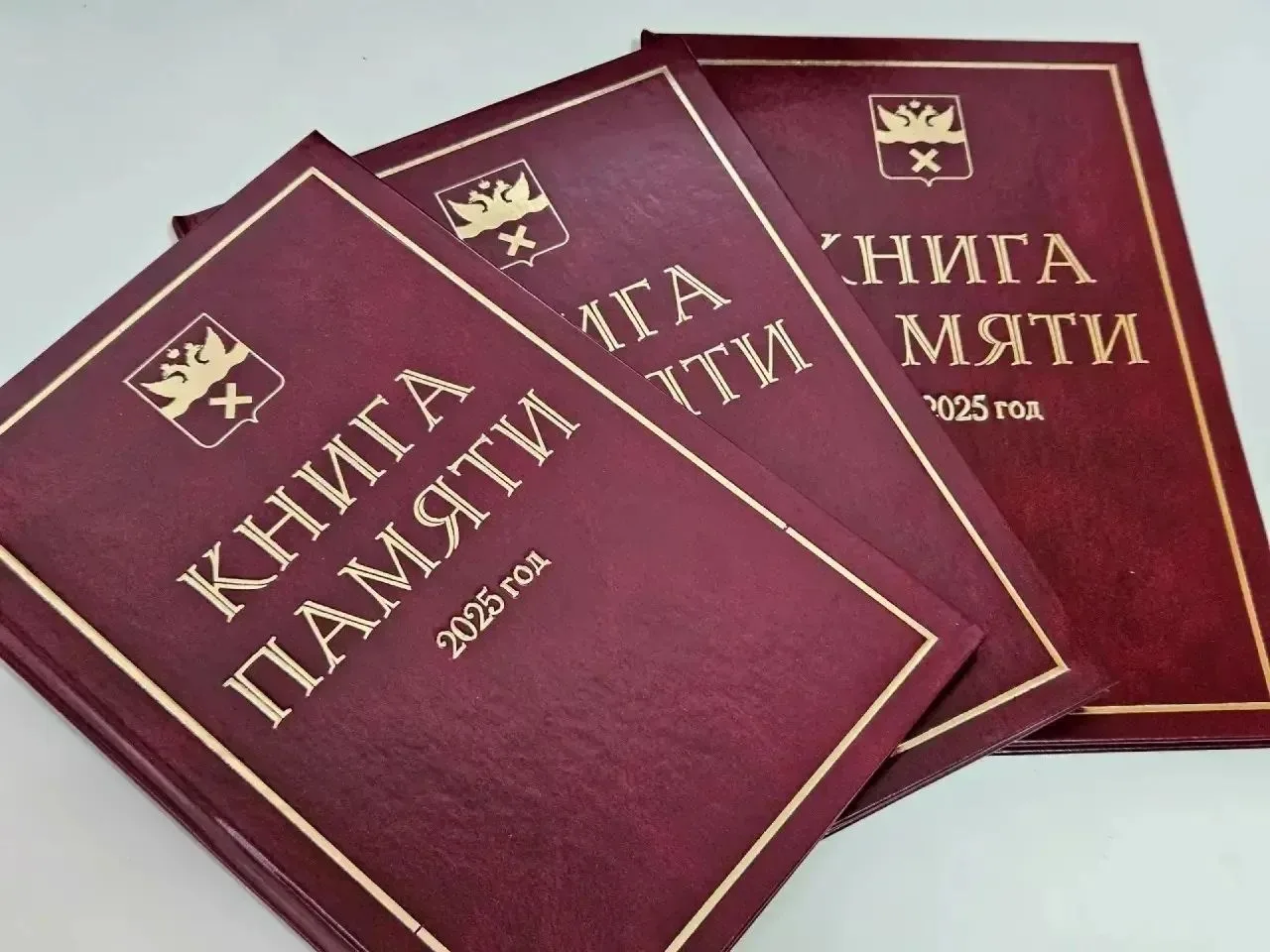 В Оренбурге вышла новая «Книга Памяти» за 2025 год