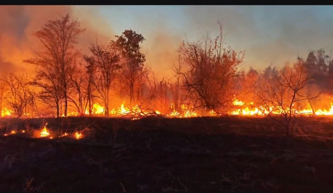 Возле Марьевки ликвидировали степной пожар