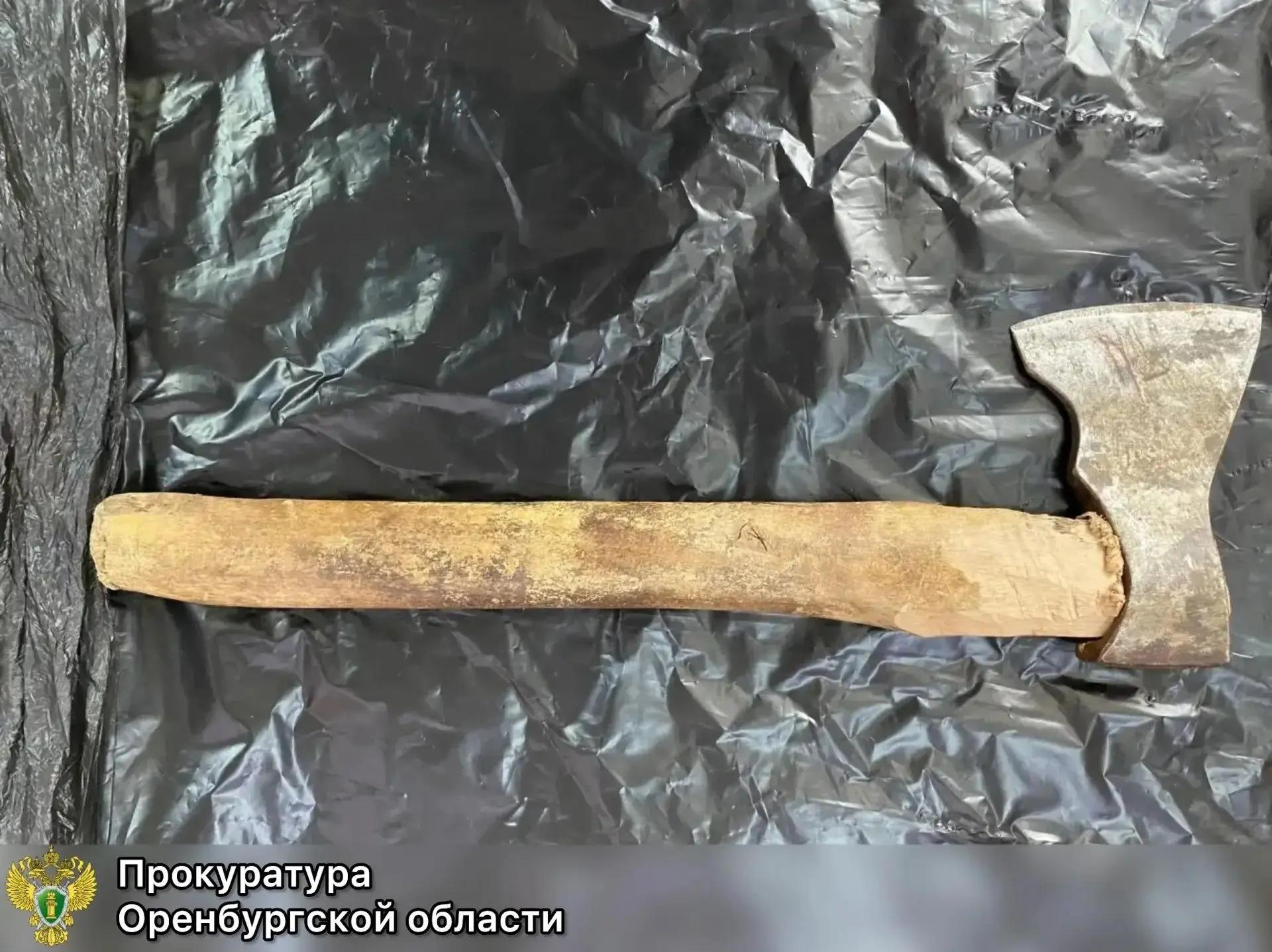 От топора до ножа: в Оренбуржье осудили мужчину за покушение и убийство