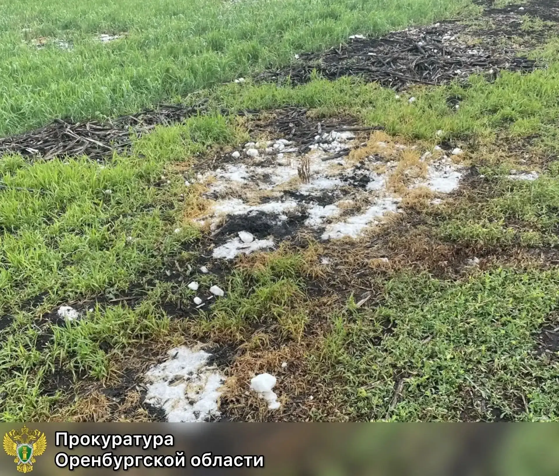 В Оренбуржье через суд требуют возместить ущерб от загрязнения почвы