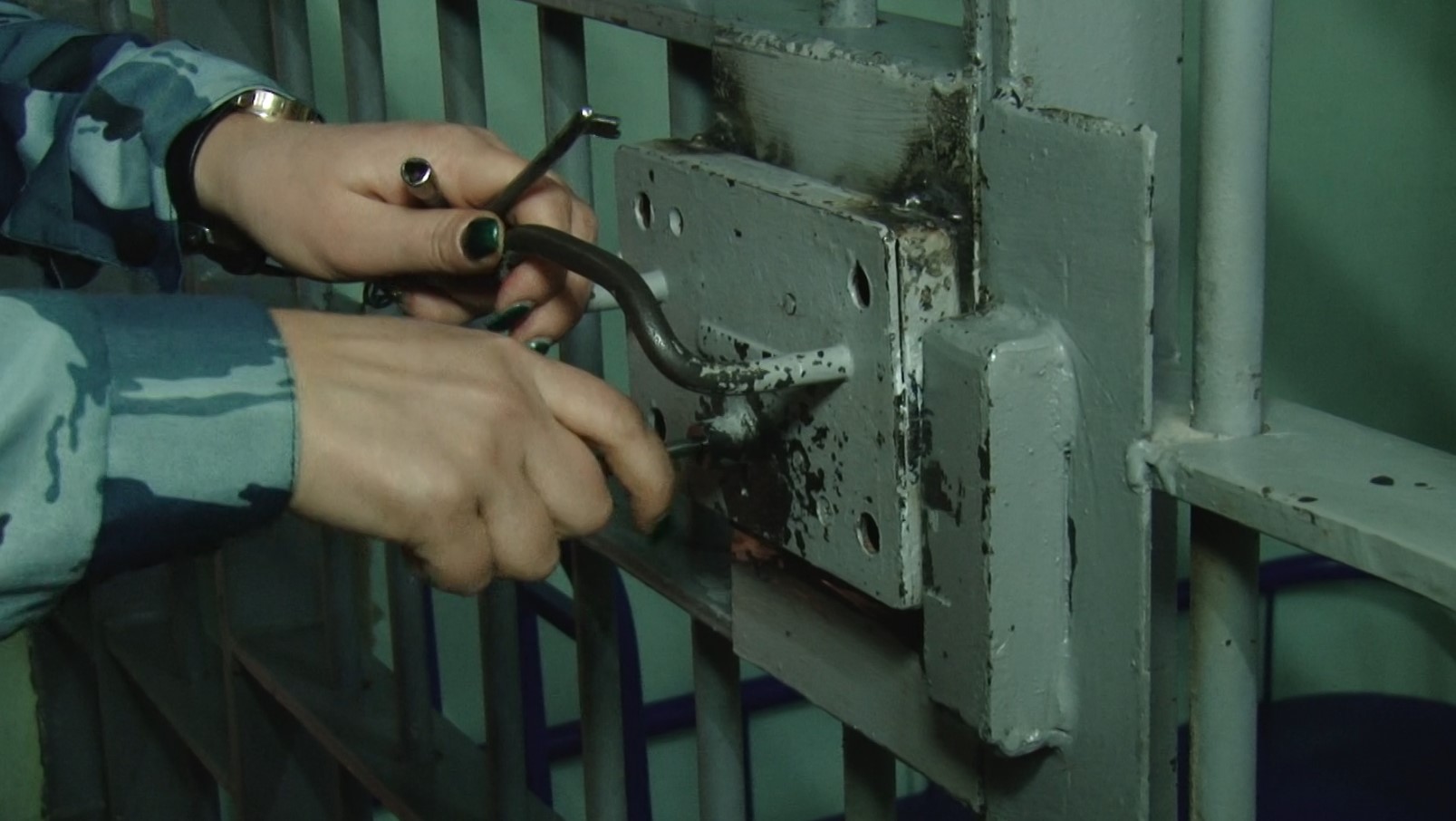 В Оренбуржье задержали иностранца с контрабандой редких птиц