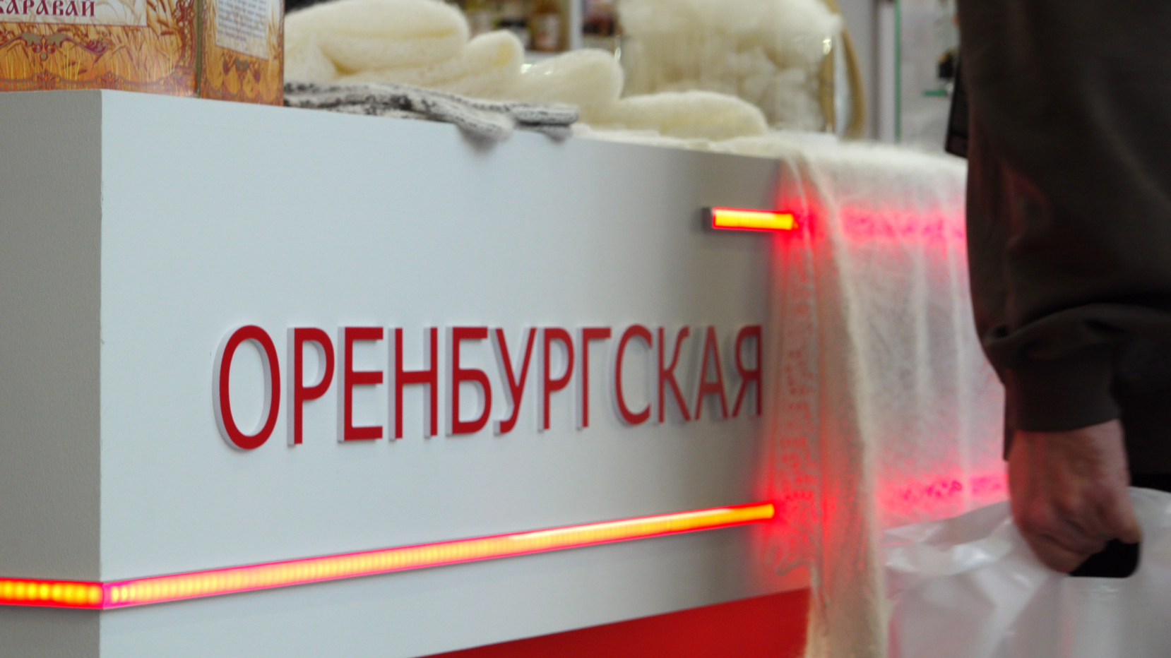 Оренбургская делегация вернулась с «Золотой осени» не с пустыми руками