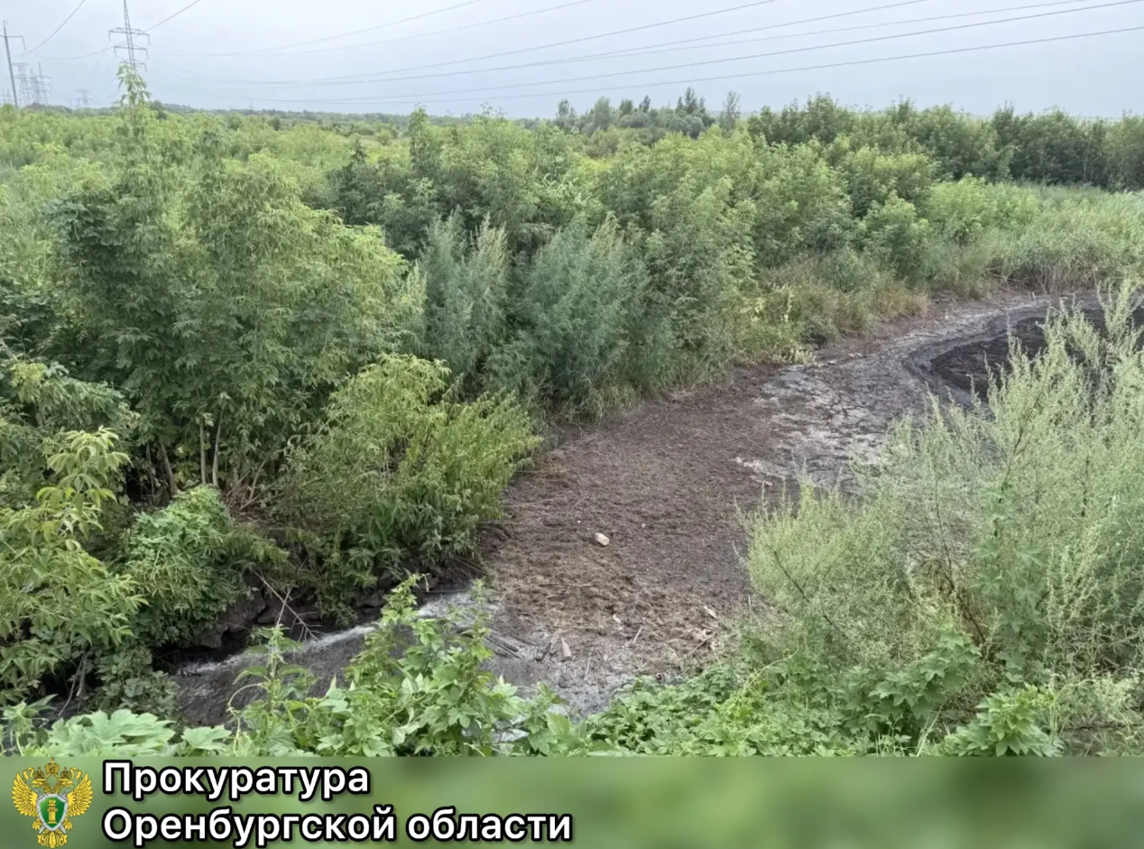 Предприятие в Бугуруслане заплатит за загрязнение почвы более 14 млн рублей